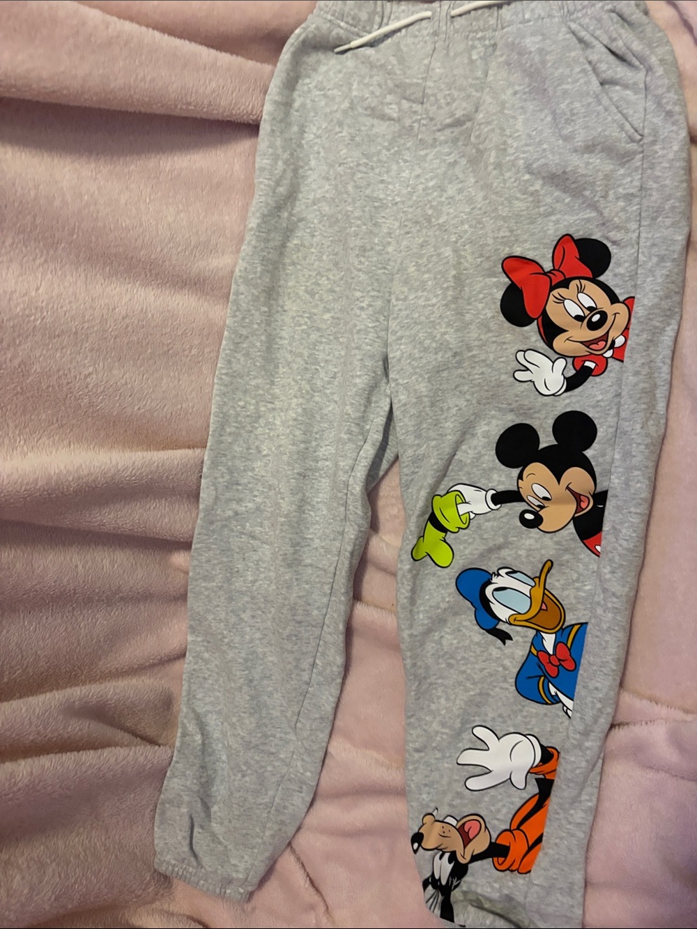 Disney Gray Sweatpants with Minnie, Mickey, Donald & Friends